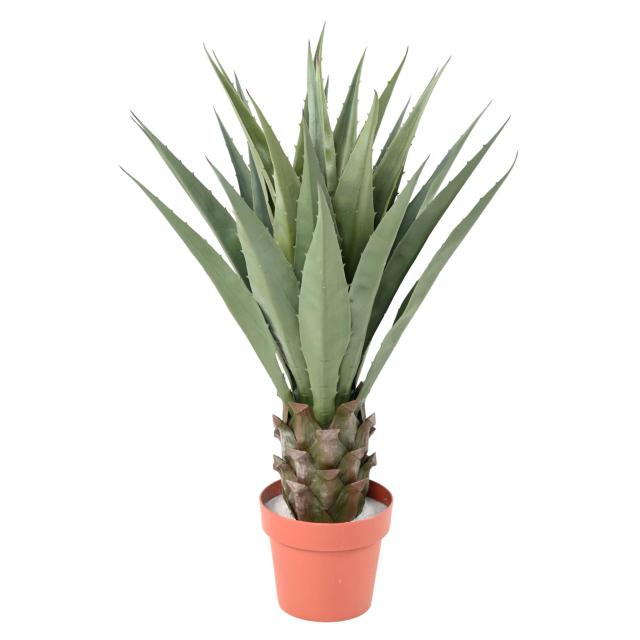 Agave Artificielle Tronc