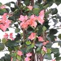 Bougainvillée artificiel NEW LIANES