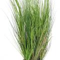 Onion Grass artificiel V