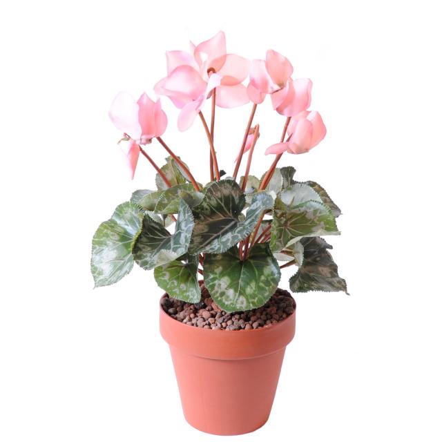 Cyclamen artificiel *8