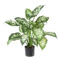 Dieffenbachia artificiel *26 EN POT