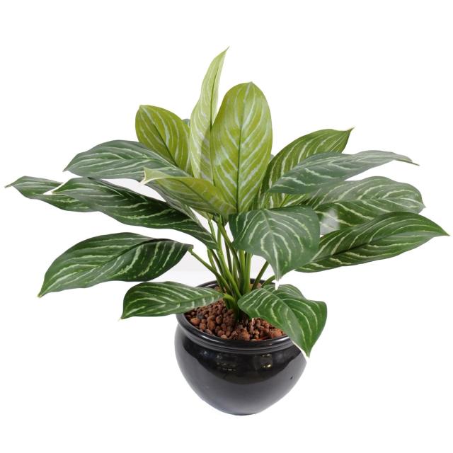 Xanthosoma artificiel