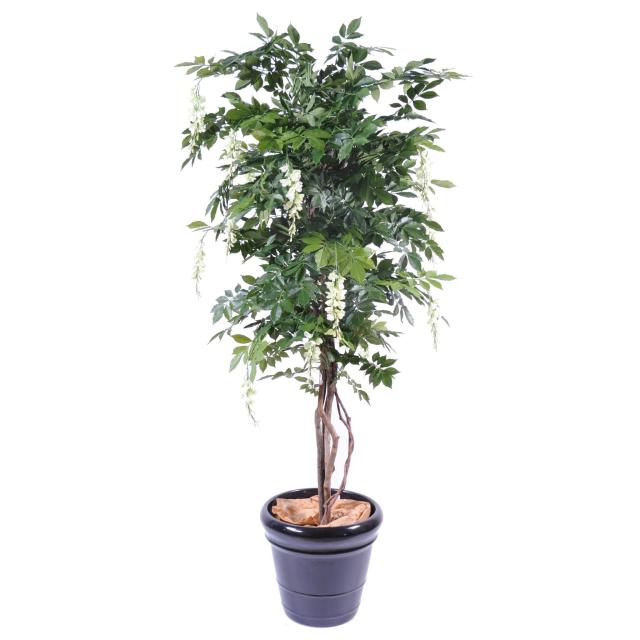 Glycine artificielle MULTI TREE