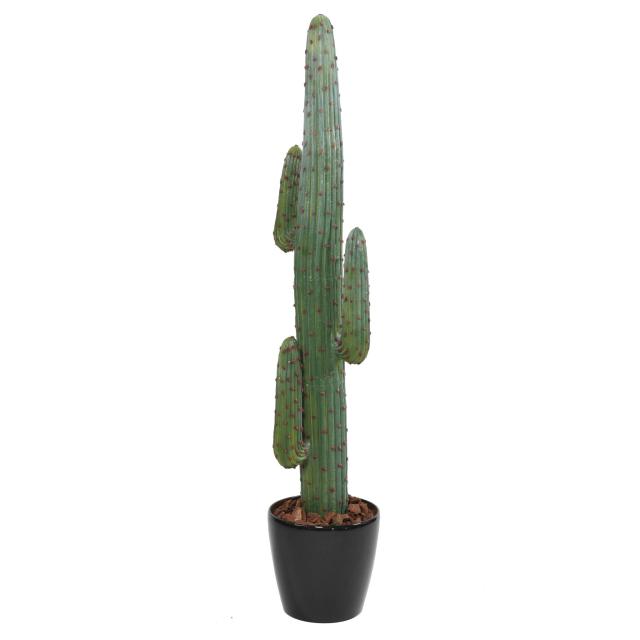 Cactus Mexico Artificiel Gros Tronc
