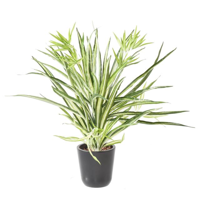 CHLOROPHYTUM Artificiel * 107