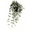 Ceropegia artificiel (chaine des cœurs)