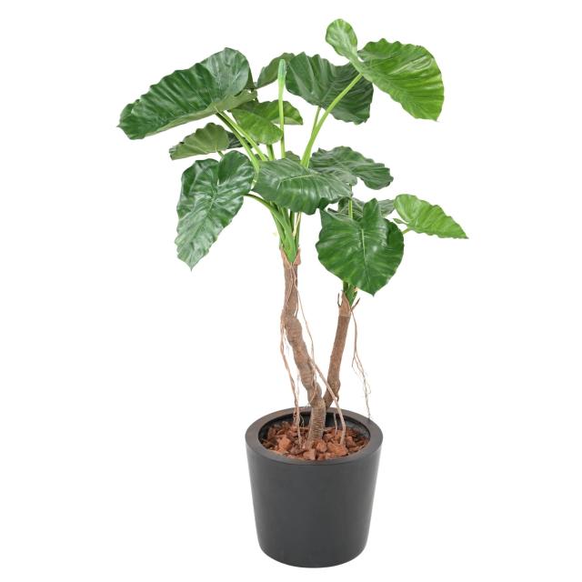 ALOCASIA Artificiel CALIDORA 2T