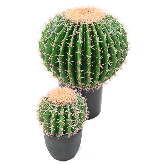 Cactus Echino Artificiel