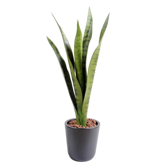 Sansevieria Artificielle 5 Feuilles Piquet