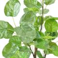 ARALIA Artificiel FABIAN
