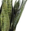 Sansevieria artificiel LARGE