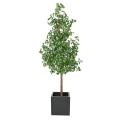 GINKGOBILOBA Artificiel TREE