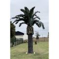 Palmier Artificiel Royal 5m30