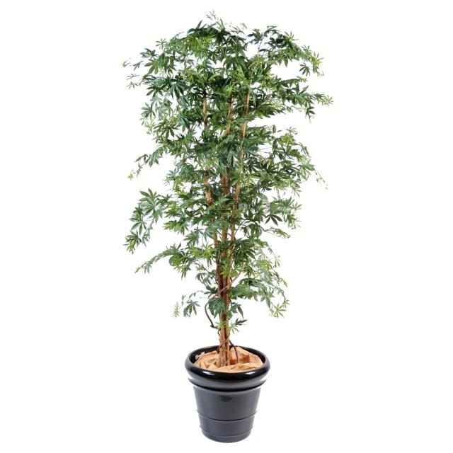 Aralia artificiel new (erable)