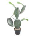 CACTUS OPUNTIA ARTIFICIEL
