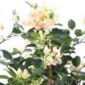 Bougainvillée artificiel NEW LIANES