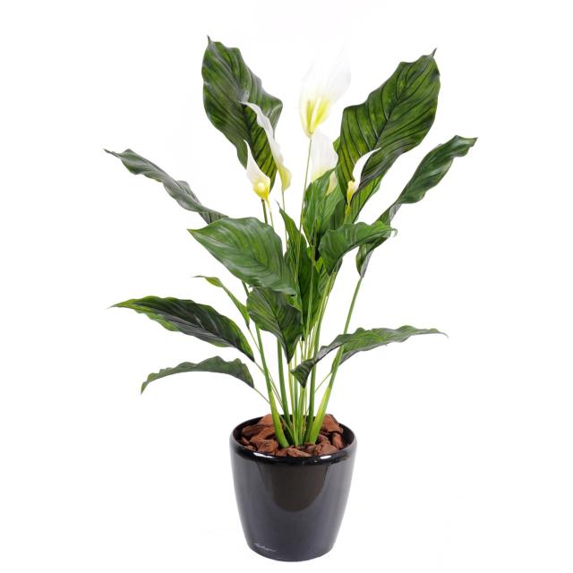 SPATHIPHYLLUM Artificiel PLAST 5 Fl