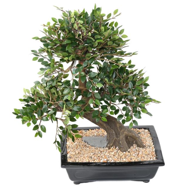BONSAI ORME Artificiel EN COUPE gravier