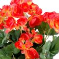 Begonia artificiel*92