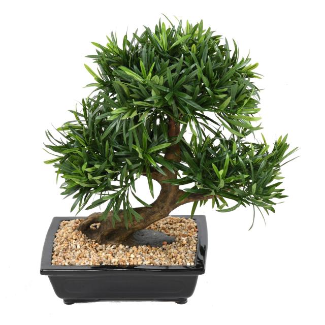 Bonsaï Podocarpus Artificiel en Coupe