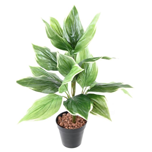 HOSTA Artificiel*18