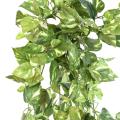 POTHOS Artificiel MINI CHUTE 80