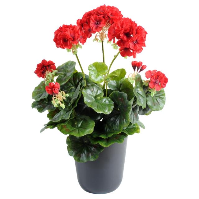 Geranium artificiel *52