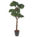 PODOCARPUS artificiel BONSAI UV