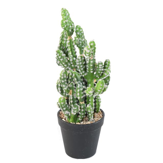 Cactus Artificiel Mini