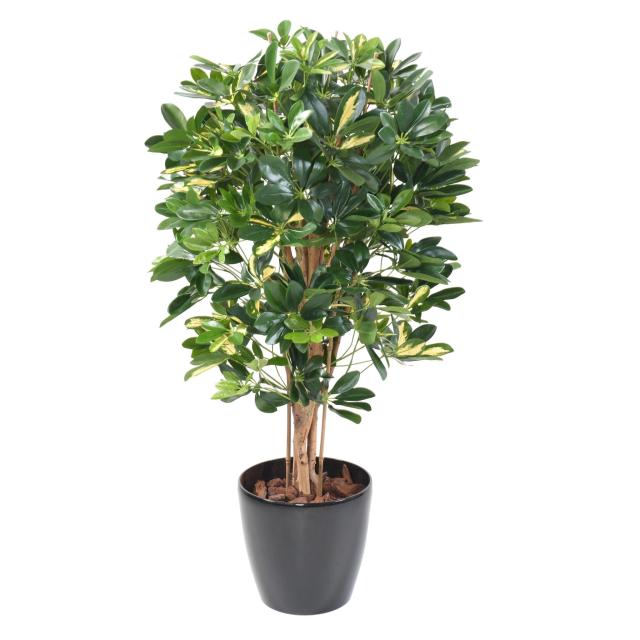 Schefflera artificiel