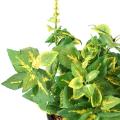 COLEUS J *11 artificiel