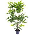 Palissandre artificielle PLASTIQUE