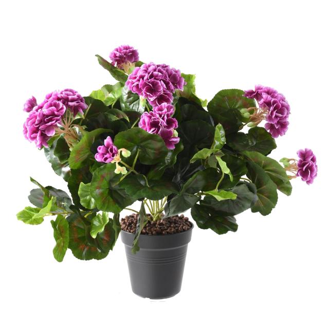 Geranium artificiel*115