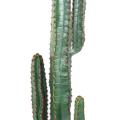 CACTUS artificiel MEXICO 150