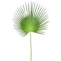 Palme artificielle PALMIER CAMERUS