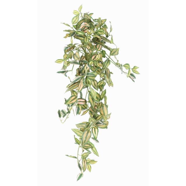 TRADESCANTIA Artificiel CHUTE 80