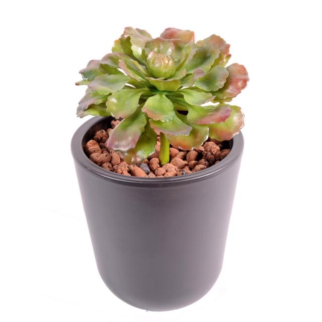Succulente artificielle 15