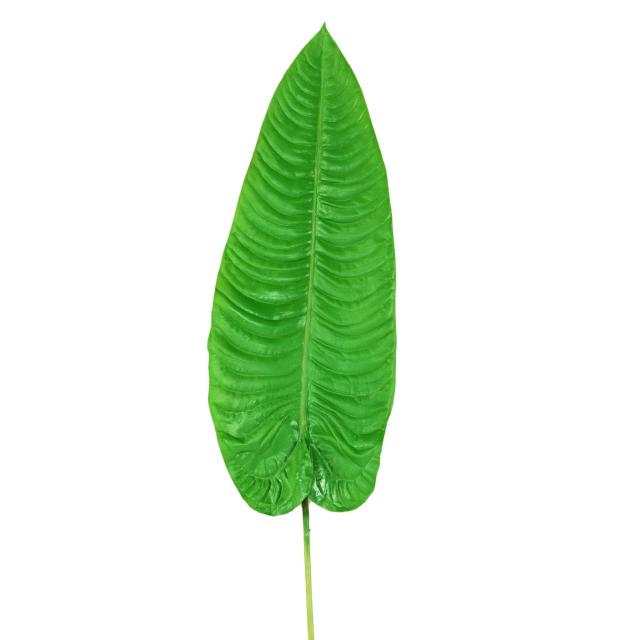 Feuille Alocasia Artificiel Longue