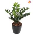 ZAMIA Artificiel 60 FR - Fire Resistant