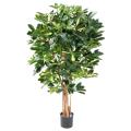 Schefflera artificiel