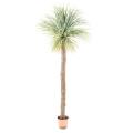 AGAVE Artificielle GEANT 240