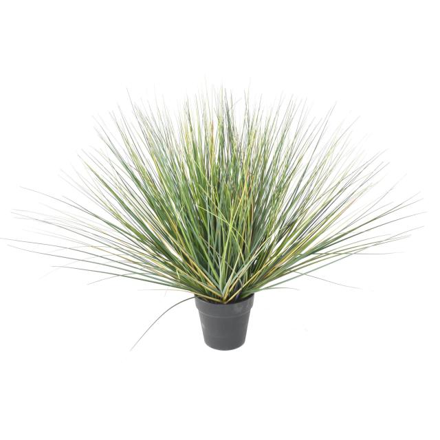 ONION GRASS Artificiel NEW ROUND