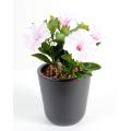 Petunia artificiel *7