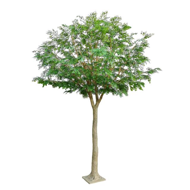 BUCIDA Artificiel 450