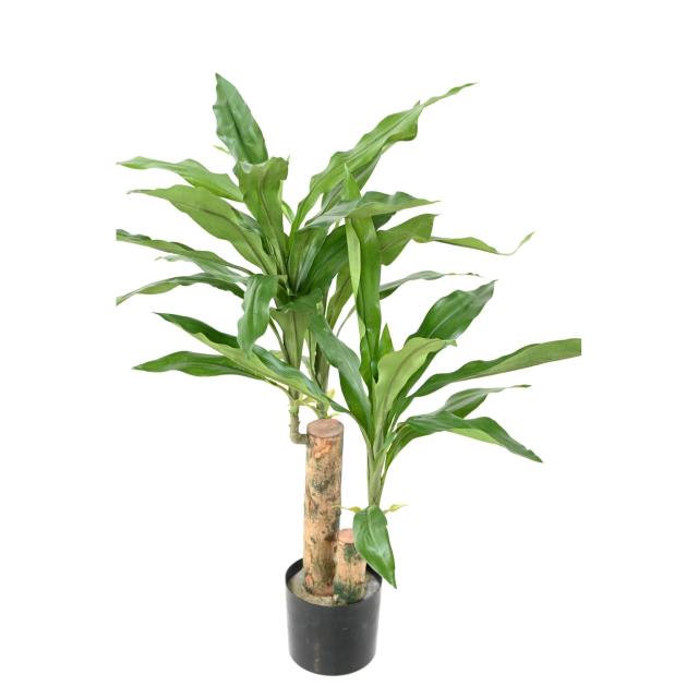 Dracaena Fragrans Stud Artificiel