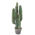 CACTUS artificiel 77