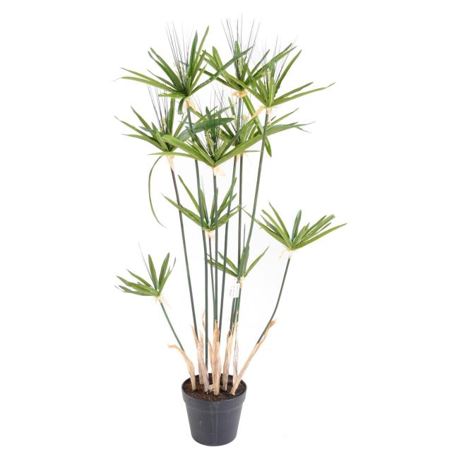 Papyrus Alternifolius Artificiel