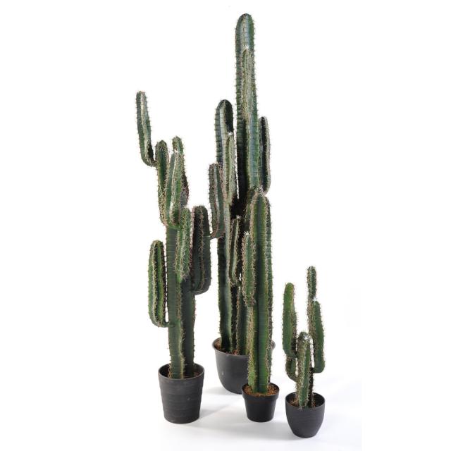 Cactus Finger Artificiel