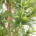 Dracaena artificiel REFLEXA