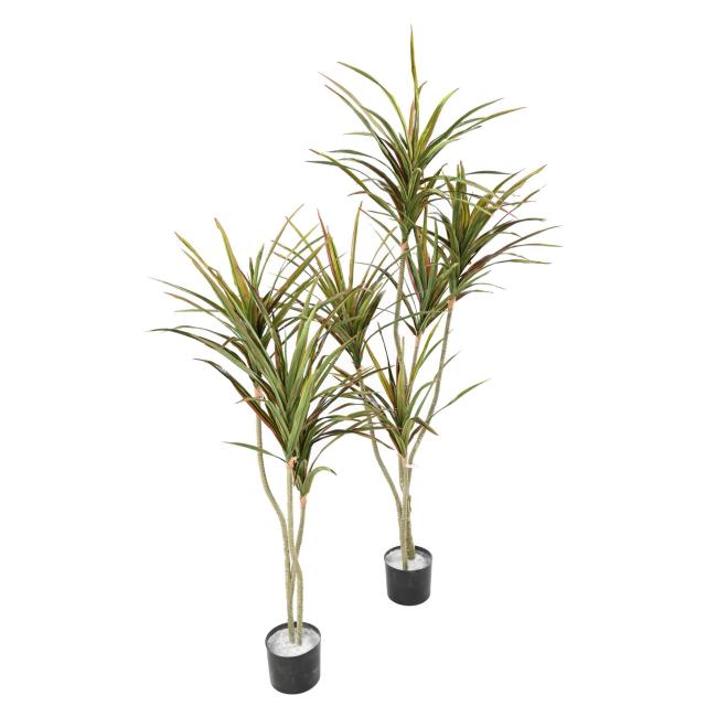Dracaena Artificiel Tronc PE